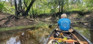 [Context, Three Mile Branch sandbar, 2025:08:03 12:48:30, 30.8755425, -83.3231760]