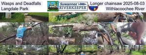 [Wasps and Deadfalls, Longer chainsaw 2025-08-03, Langdale Park, Withlacoochee River]