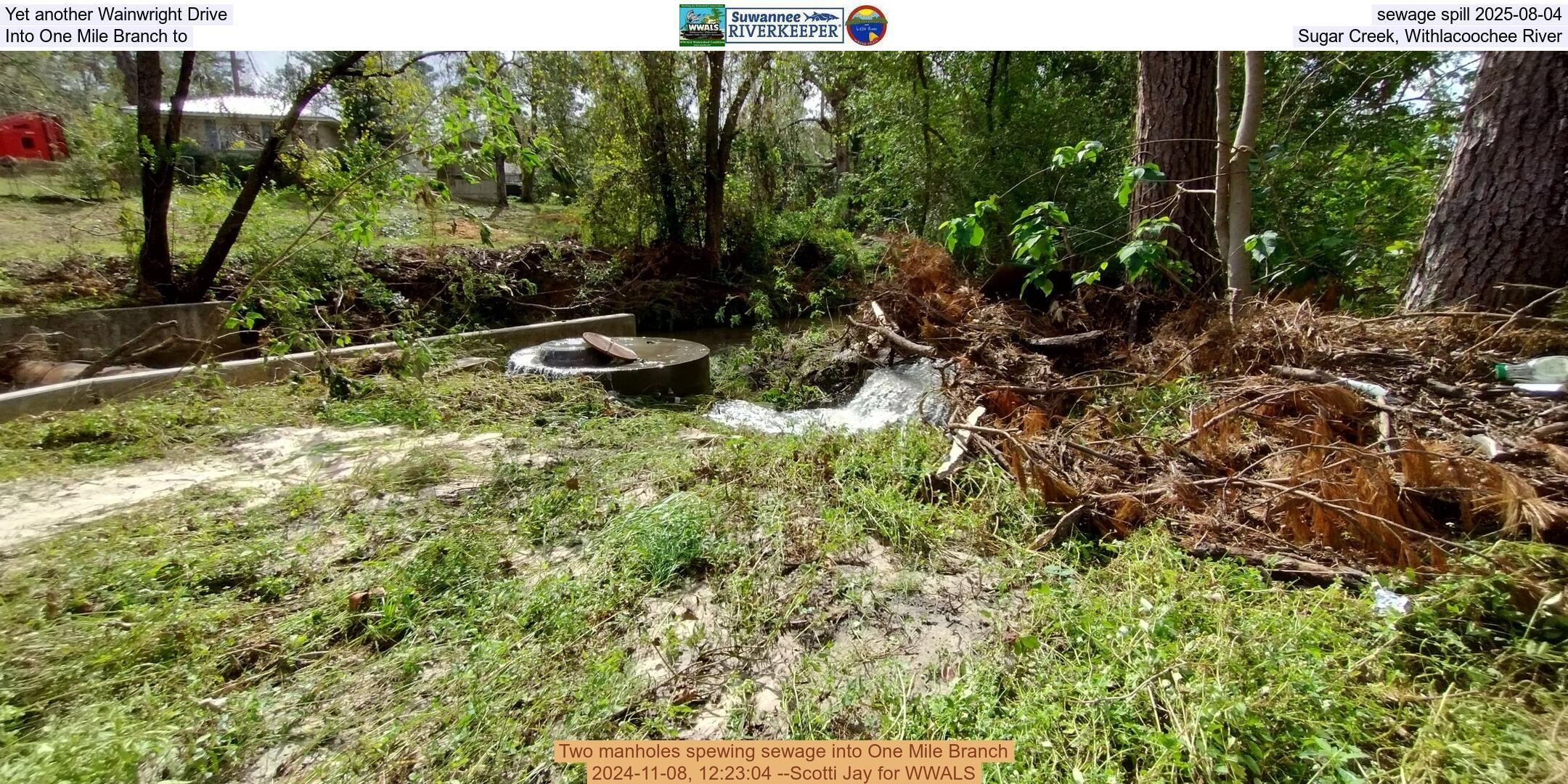 Yet another Wainwright Drive sewage spill 2025-08-04, Into One Mile Branch to Sugar Creek, Withlacoochee River