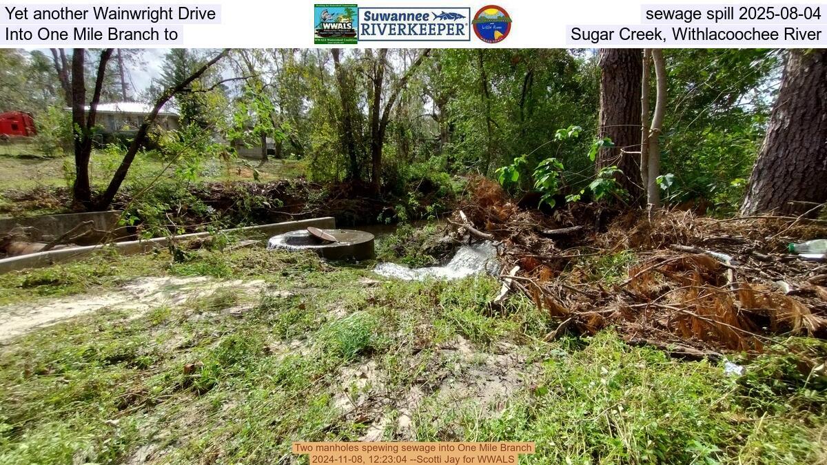Yet another Wainwright Drive sewage spill 2025-08-04, Into One Mile Branch to Sugar Creek, Withlacoochee River