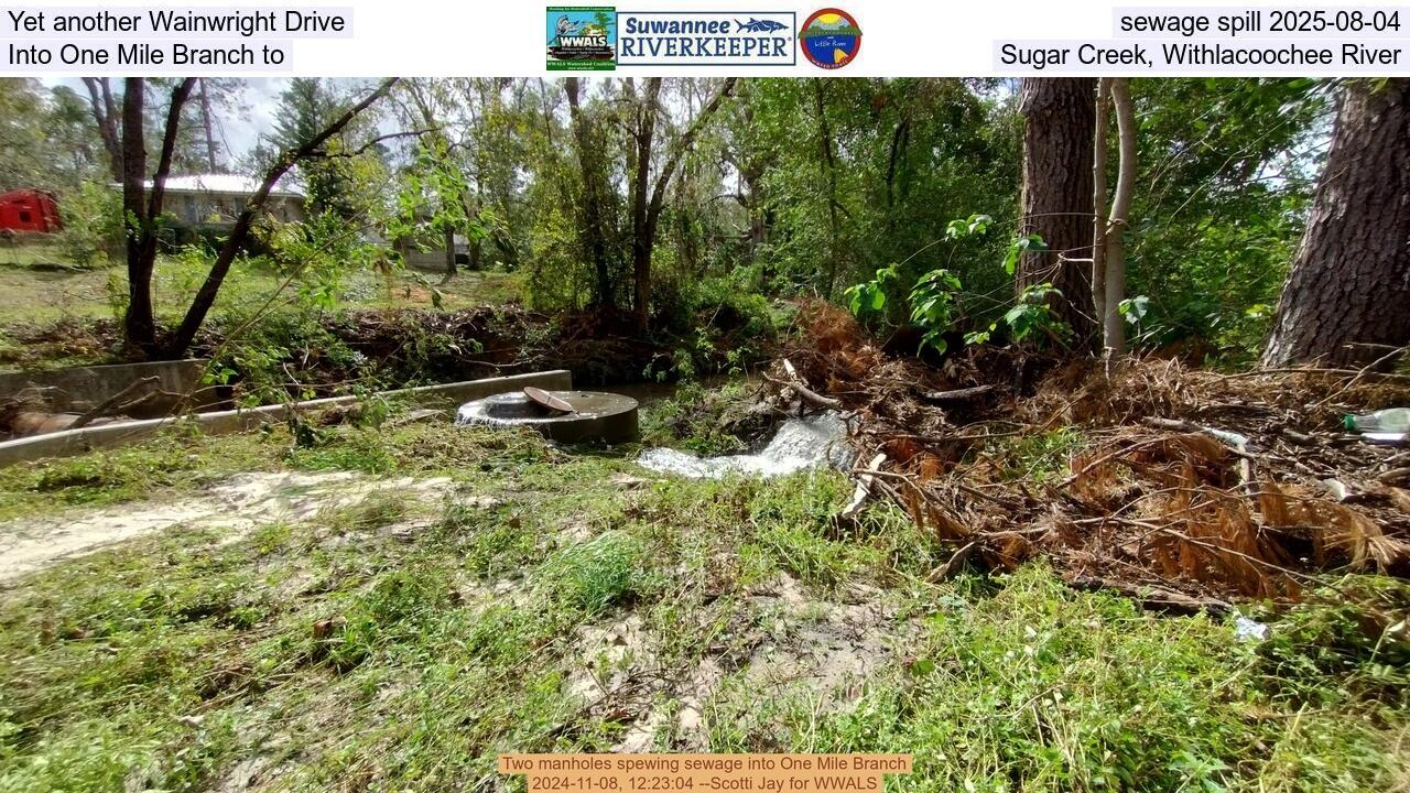 Yet another Wainwright Drive sewage spill 2025-08-04, Into One Mile Branch to Sugar Creek, Withlacoochee River