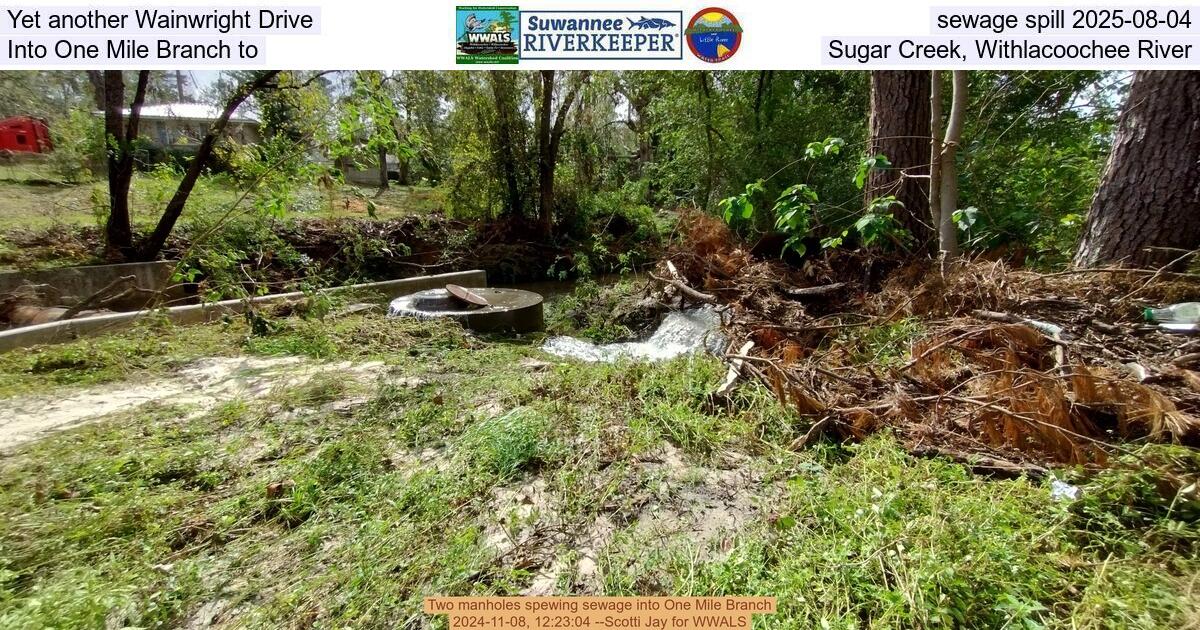 [Yet another Wainwright Drive sewage spill 2025-08-04, Into One Mile Branch to Sugar Creek, Withlacoochee River]