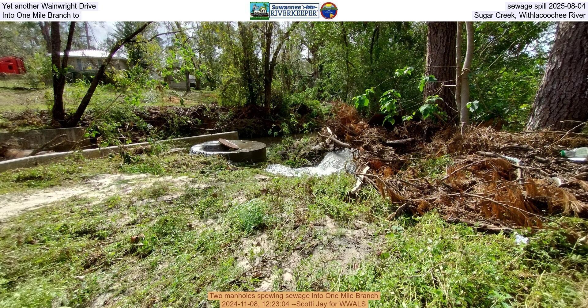 [Yet another Wainwright Drive sewage spill 2025-08-04, Into One Mile Branch to Sugar Creek, Withlacoochee River]