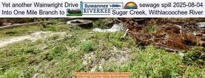 [Yet another Wainwright Drive sewage spill 2025-08-04, Into One Mile Branch to Sugar Creek, Withlacoochee River]