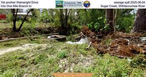 [Yet another Wainwright Drive sewage spill 2025-08-04, Into One Mile Branch to Sugar Creek, Withlacoochee River]