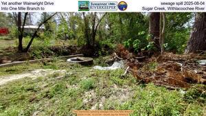 [Yet another Wainwright Drive sewage spill 2025-08-04, Into One Mile Branch to Sugar Creek, Withlacoochee River]