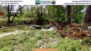 [Yet another Wainwright Drive sewage spill 2025-08-04, Into One Mile Branch to Sugar Creek, Withlacoochee River]