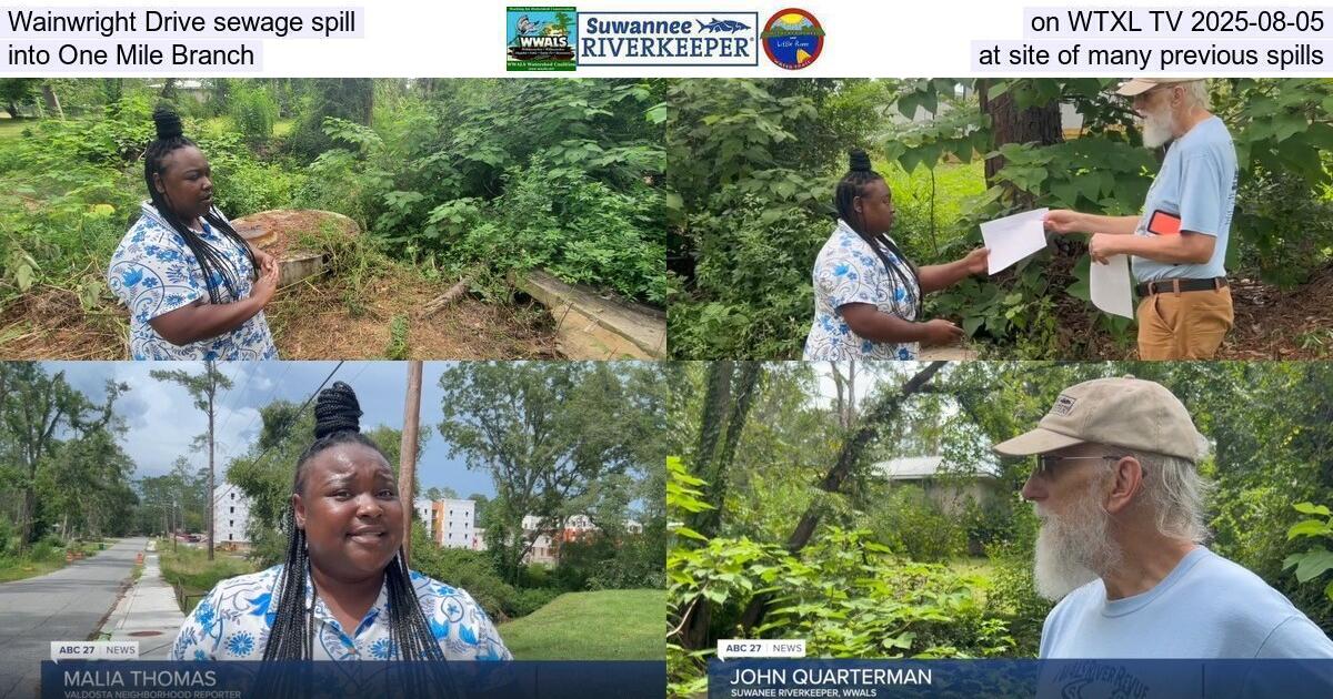 [Wainwright Drive sewage spill on WTXL TV 2025-08-05, into One Mile Branch, at site of many previous spills]