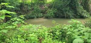 [Movie: One Mile Branch at Wainwright Drive and the spilling manholes (30M), 2025-08-05 --jsq for WWALS]