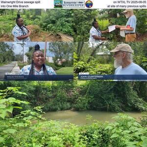 [Wainwright Drive sewage spill on WTXL TV 2025-08-05, into One Mile Branch, at site of many previous spills]