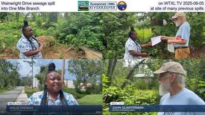 [Wainwright Drive sewage spill on WTXL TV 2025-08-05, into One Mile Branch, at site of many previous spills]