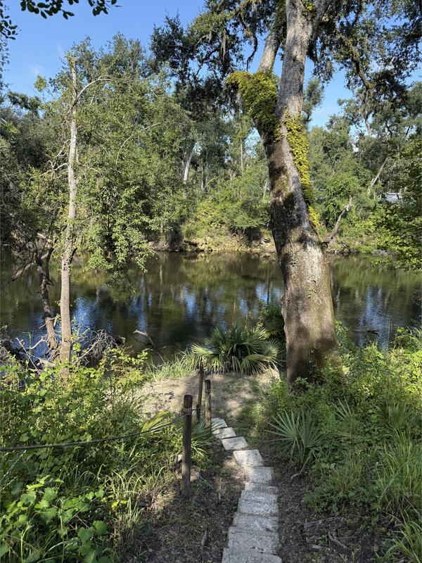 [Holly Point, Withlacoochee River @ NE Withla Bluffs Way 2025-08-06 --Russ Tatum for WWALS]