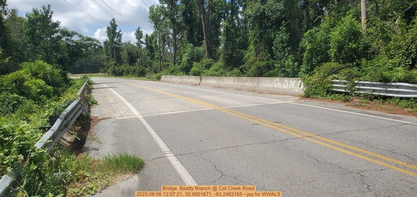 Bridge, Beatty Branch @ Cat Creek Road, 2025:08:06 12:07:21, 30.9801671, -83.2463165 --jsq for WWALS