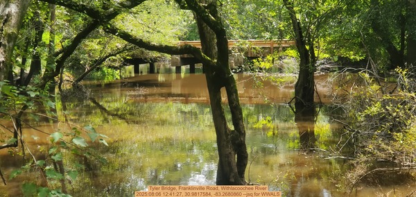 [Tyler Bridge, Franklinville Road, Withlacoochee River, 2025:08:06 12:41:27, 30.9817584, -83.2680860 --jsq for WWALS]