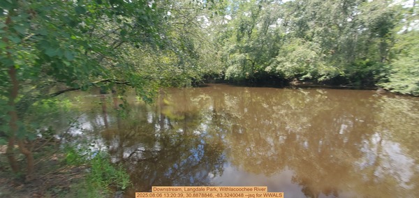 Downstream, Langdale Park, Withlacoochee River, 2025:08:06 13:20:39, 30.8878846, -83.3240048 --jsq for WWALS