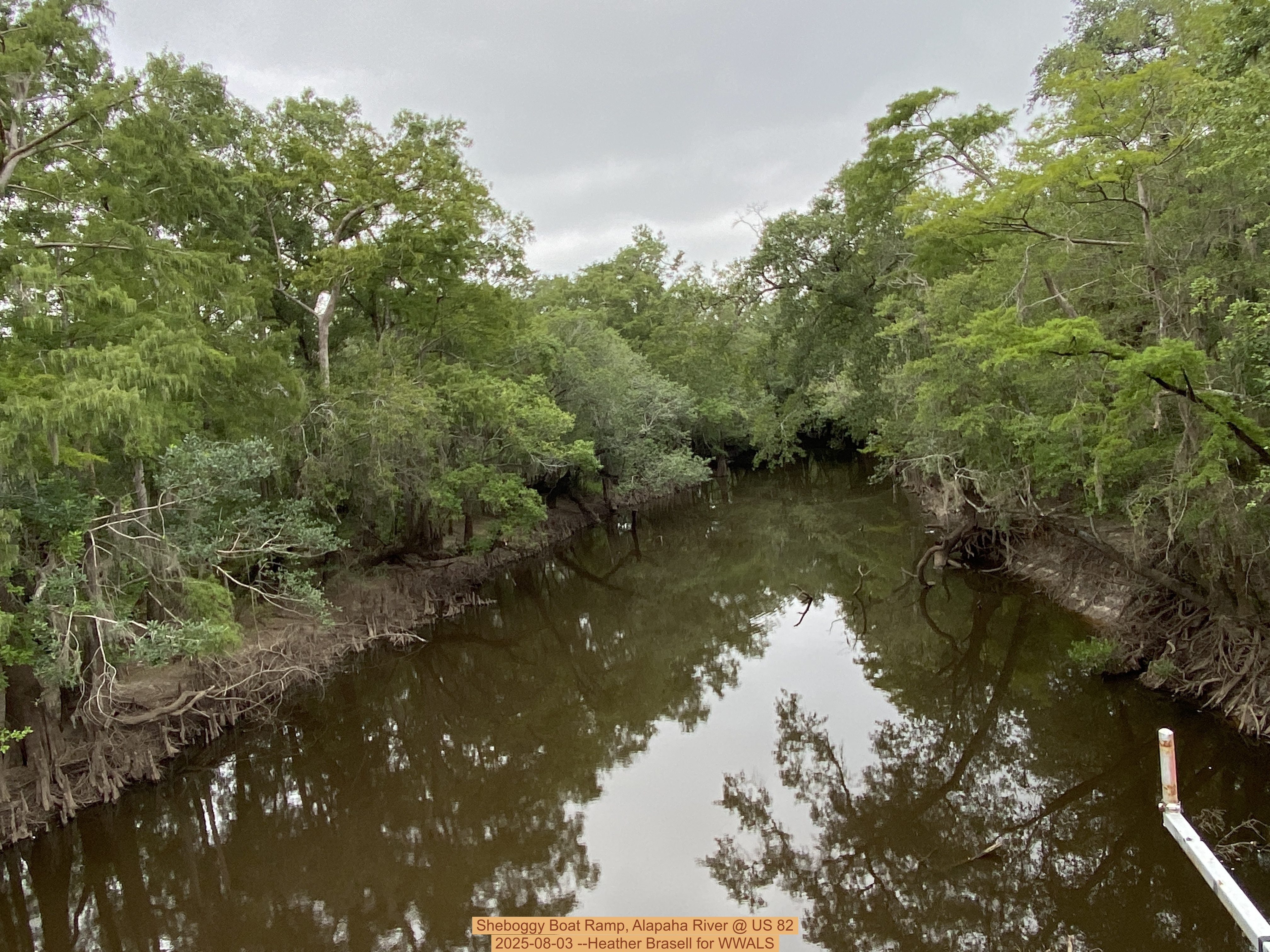 Sheboggy Boat Ramp, Alapaha River @ US 82 2025-08-03 --Heather Brasell for WWALS