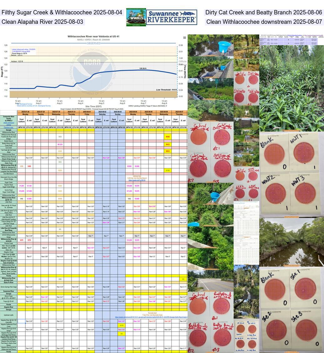 [Filthy Sugar Creek & Withlacoochee 2025-08-04, Dirty Cat Creek and Beatty Branch 2025-08-06, Clean Alapaha River 2025-08-03, Clean Withlacoochee downstream 2025-08-07]