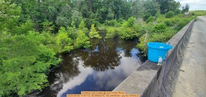 [Context, Cat Creek @ Cat Creek Road, 2025:08:06 11:47:13, 30.9900219, -83.2449536 --jsq for WWALS]