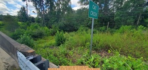 [Sign, Cat Creek @ Cat Creek Road, 2025:08:06 11:48:09, 30.9903104, -83.2452175 --jsq for WWALS]