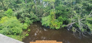 [Upstream, Cat Creek @ Cat Creek Road, 2025:08:06 11:48:49, 30.9903104, -83.2452175 --jsq for WWALS]