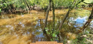 [Withlacoochee River @ Franklinville Road, 2025:08:06 12:41:35, 30.9817584, -83.2680860 --jsq for WWALS]