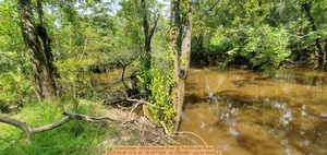 [Downstream, Withlacoochee River @ Franklinville Road, 2025:08:06 12:41:47, 30.9817584, -83.2680860 --jsq for WWALS]