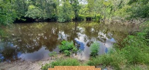 [Sample Site, Langdale Park, Withlacoochee River, 2025:08:06 13:20:28, 30.8878846, -83.3240048 --jsq for WWALS]