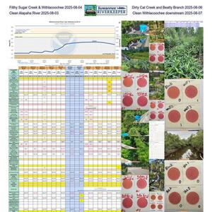 [Filthy Sugar Creek & Withlacoochee 2025-08-04, Dirty Cat Creek and Beatty Branch 2025-08-06, Clean Alapaha River 2025-08-03, Clean Withlacoochee downstream 2025-08-07]