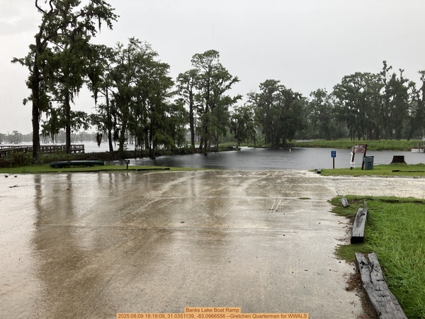 Banks Lake Boat Ramp, 2025:08:09 18:19:09, 31.0351139, -83.0966556 --Gretchen Quarterman for WWALS
