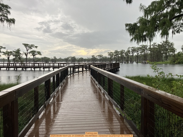 Fishing pier, 2025:08:09 19:41:22, 31.0348028, -83.0970833 --Gretchen Quarterman for WWALS