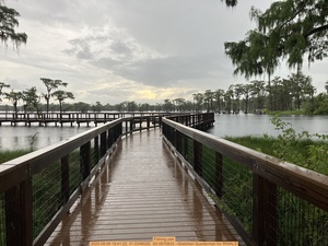 [Fishing pier, 2025:08:09 19:41:22, 31.0348028, -83.0970833 --Gretchen Quarterman for WWALS]