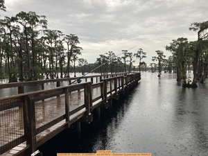 [Fishing pole, 2025:08:09 19:42:37, 31.0345917, -83.0974972 --Gretchen Quarterman for WWALS]
