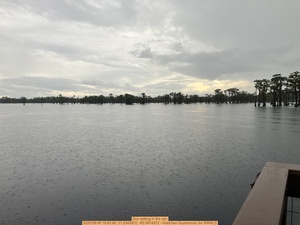 [Sun setting in the rain, 2025:08:09 19:42:48, 31.0345972, -83.0974972 --Gretchen Quarterman for WWALS]