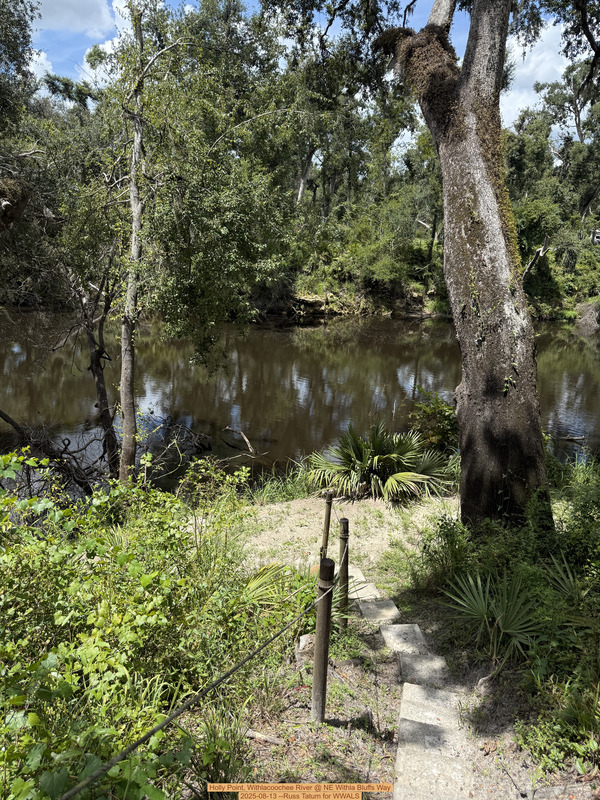 [Holly Point, Withlacoochee River @ NE Withla Bluffs Way 2025-08-13 --Russ Tatum for WWALS]