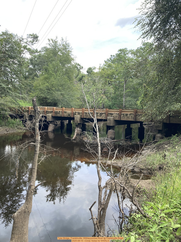 [Tyler Bridge, Franklinville, Withlacoochee River @ Frankinville Road 2025-08-14 --Cindy Vedas for WWALS]