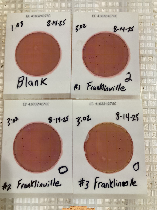 Plates, Franklinville 2025-08-14 --Cindy Vedas for WWALS