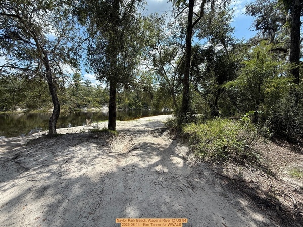 [Naylor Park Beach, Alapaha River @ US 84 2025-08-14 --Kim Tanner for WWALS]