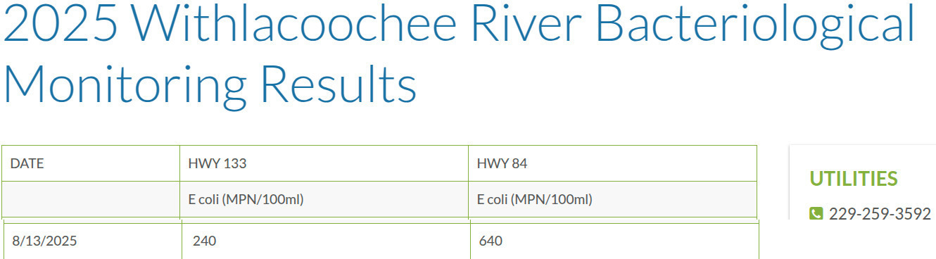 Table: GA 133, US 84 Withlacoochee River Water Quality, 2025-08-13 --Valdosta Utilities