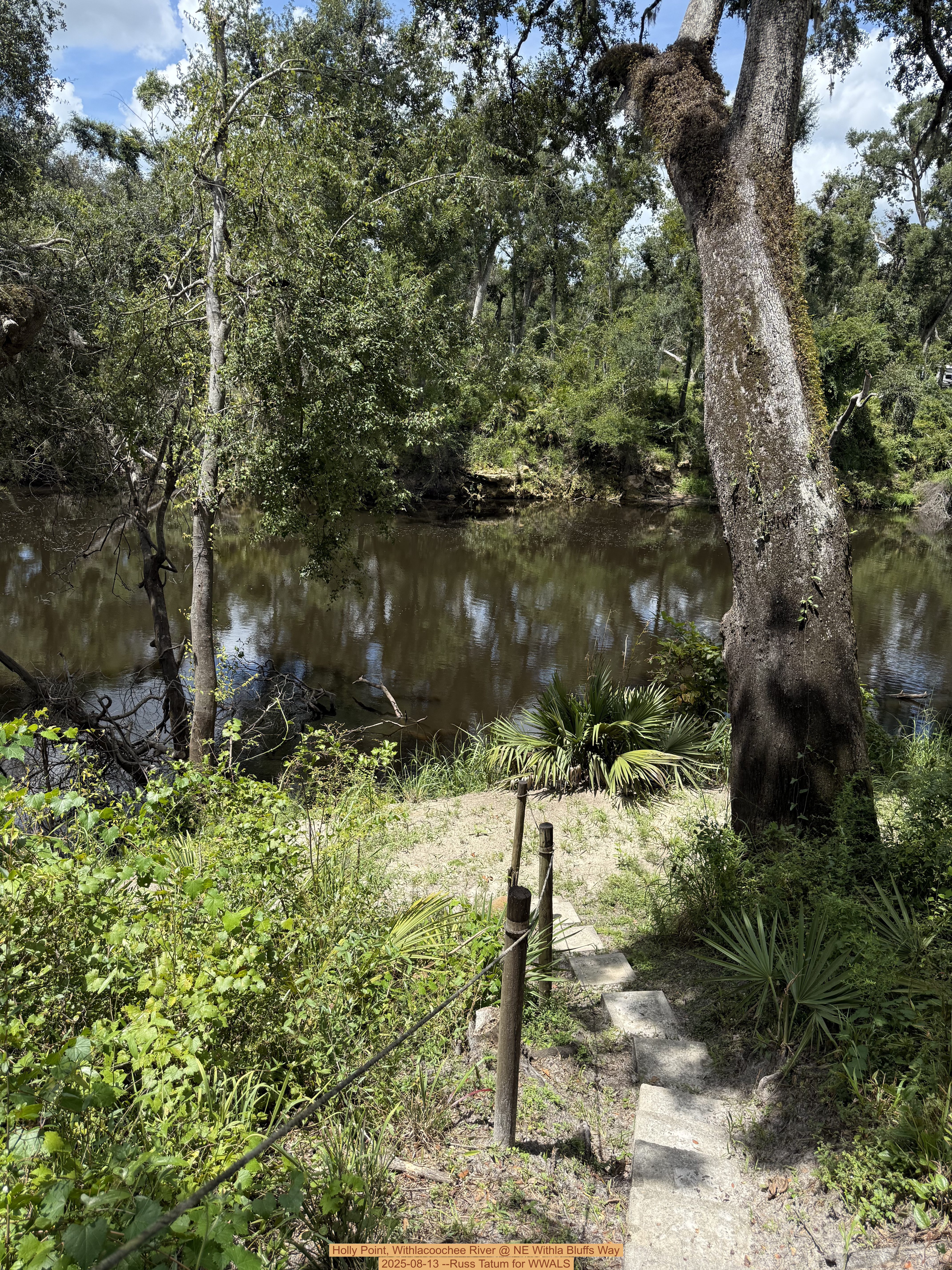 Holly Point, Withlacoochee River @ NE Withla Bluffs Way 2025-08-13 --Russ Tatum for WWALS