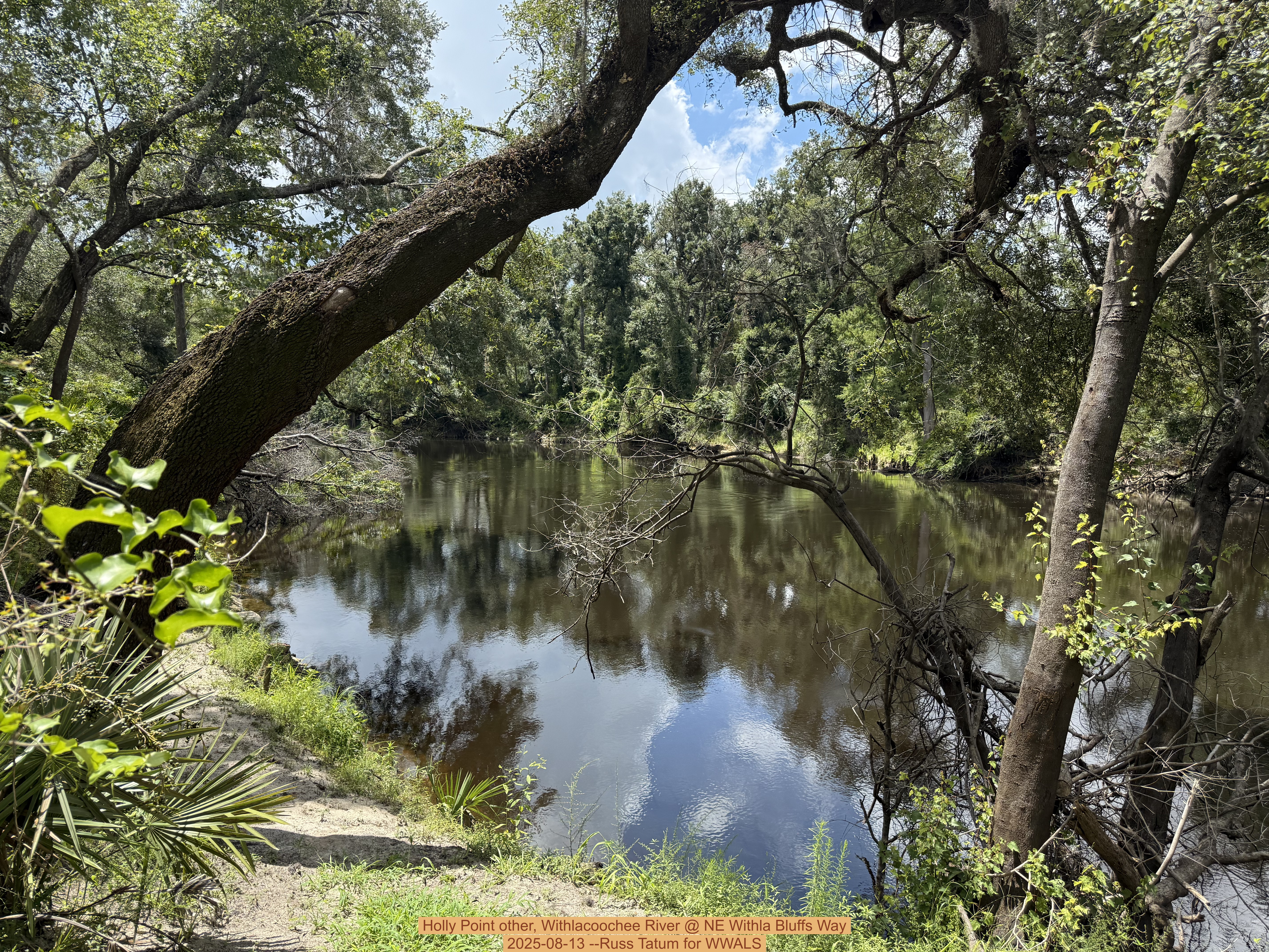 Holly Point other, Withlacoochee River @ NE Withla Bluffs Way 2025-08-13 --Russ Tatum for WWALS