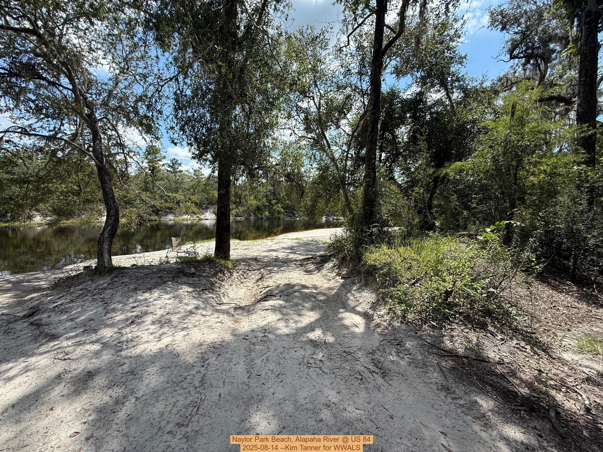 Naylor Park Beach, Alapaha River @ US 84 2025-08-14 --Kim Tanner for WWALS