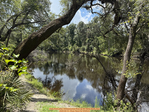 [Holly Point other, Withlacoochee River @ NE Withla Bluffs Way 2025-08-13 --Russ Tatum for WWALS]