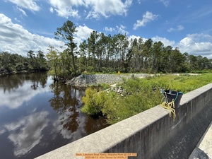 [Back, Lakeland Boat Ramp, Alapaha River @ GA 122 2025-08-13 --Kim Tanner for WWALS]