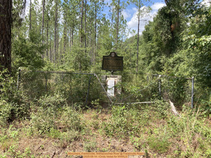 [Monument, Franklinville, Withlacoochee River @ Frankinville Road 2025-08-14 --Cindy Vedas for WWALS]