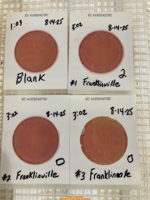 [Plates, Franklinville 2025-08-14 --Cindy Vedas for WWALS]