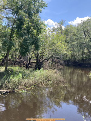 [Langdale Park Boat Ramp other, Withlacoochee River @ North Valdosta Road 2025-08-14 --Cindy Vedas for WWALS]
