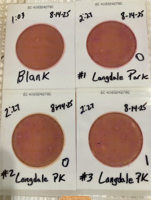 [Plates, Langdale Park Boat Ramp 2025-08-14 --Cindy Vedas for WWALS]