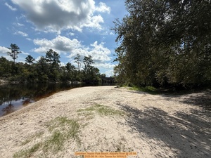 [Upstream, Naylor Park Beach, Alapaha River @ US 84 2025-08-14 --Kim Tanner for WWALS]