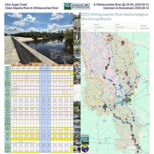 [Dirty Sugar Creek & Withlacoochee River @ US 84, 2025-08-13, Clean Alapaha River & Withlacoochee River, Upstream & Downstream 2025-08-14]