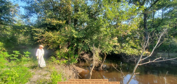 [Cindy Vedas by the Withlacoochee River, 2025:08:16 09:11:14, 30.9816543, -83.2681303 --jsq for WWALS]